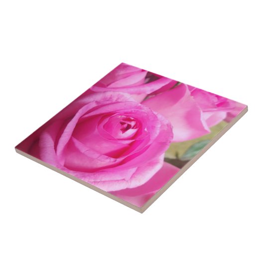 ピンク鮮やかのバラ タイル (側面)