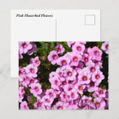 ピンク鮮やかの花壇の花 ポストカード (正面/裏面)