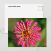 ピンク鮮やかの花 ポストカード (正面/裏面)