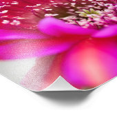 ピンク鮮やかサボテンの花花びら フォトプリント            (角)