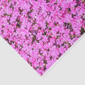 ピンク鮮やかフローラ 薄葉紙 (詳細)