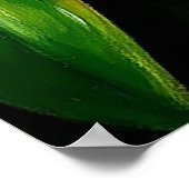 ピンク鮮やか色の中心を持つ黄色のラン ポスター (角)