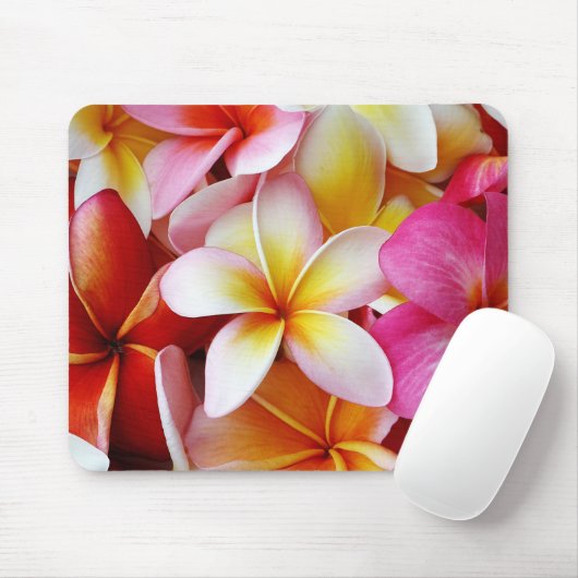 ピンク黄色の白の混合プルメリア花 マウスパッド (マウス)