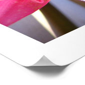 ピンク2月 ポスター (角)