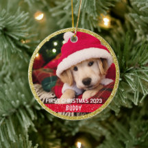 ピンク かわいい 子犬 いちばんの 愛犬 クリスマス 写真
