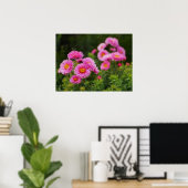 ピンク・アスター・フラワーポスター ポスター (ホームオフィス)