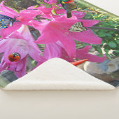 ピンク – アマリリス&キングフィッシャーのポスター シェルパブランケット (3/4)