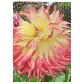 ピンク&イエローダリア クリップボード (裏面)