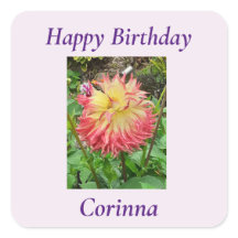 ピンク&イエローダリア