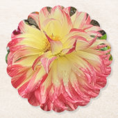 ピンク&イエローダリア ペーパーコースター (正面)