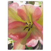 ピンク&イエローチューリップ クリップボード (裏面)