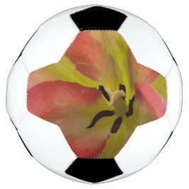 ピンク&イエローチューリップ サッカーボール
