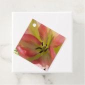 ピンク&イエローチューリップ フェイバータグ (インサイチュ)