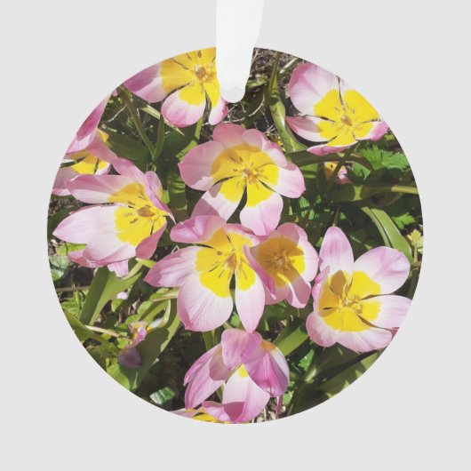 ピンク&イエローフラワーアクリルオーナメント オーナメント (正面)