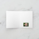 「ピンク&イエロー・デイリリー/元気？」 カード (内部)