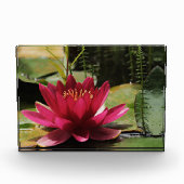 ピンク·ウォーター·リリー フォトブロック (正面)