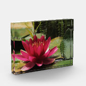 ピンク·ウォーター·リリー フォトブロック (左)