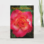 ピンク/オレンジバラ カード (正面)