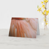 ピンク カード (黄色い花)