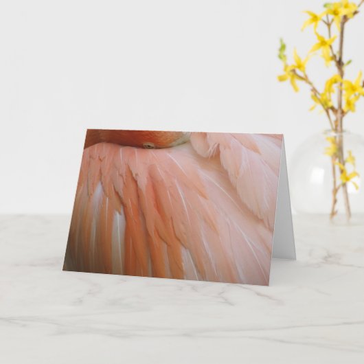 ピンク カード (黄色い花)