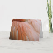 ピンク カード (正面)