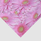 ピンク・ガーベラスの交響曲 薄葉紙 (詳細)