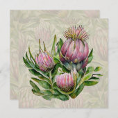 ピンク&グリーンプロテア花ありがとう シーズンカード (正面/裏面)