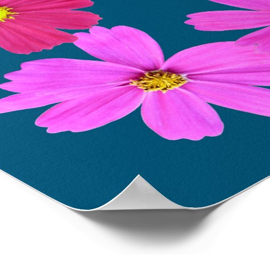 ピンク・コスモスの枠の主の祈りの言葉 ポスター (角)