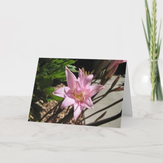 ピンク シーズンカード (正面)