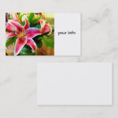 ピンク・スターガザー・リリーの名刺 名刺 (正面/裏面)