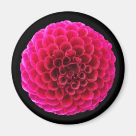 ピンク ダリア 丸型冷蔵庫マグネット 花ギフト マグネット