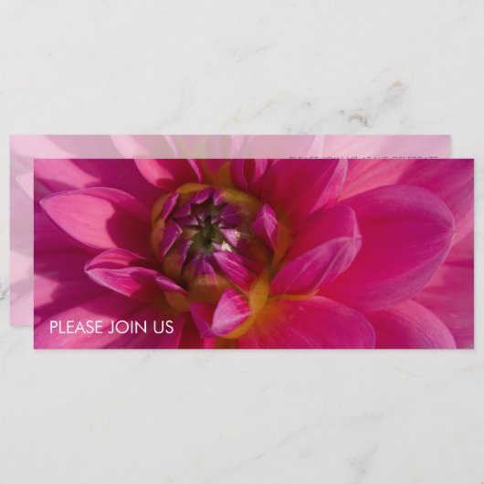 ピンク·ダリア 招待状 (正面/裏面)