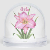 ピンク・デイリリー花の植物学パーソナライズされた術 (裏面)