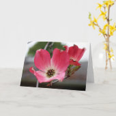 ピンク·ド空白のッグウッド カード (黄色い花)