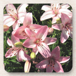ピンク、ピンクの白いアジアユリ コースター