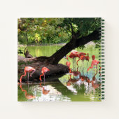 ピンク・フラミンゴ・フロック野生動物写真 ノートブック (裏面)