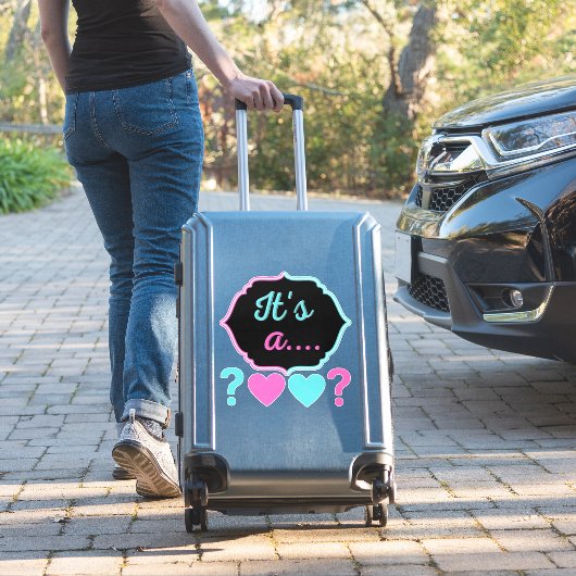 ピンク&ブルーのジェンダーが赤ちゃんシャワーStiを明らかにする シール (スーツケースインサイチュ)