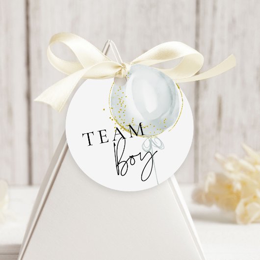 ピンク&ブルーバルーンジェンダーがチームボーイを明らかにする フェイバータグ