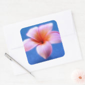 ピンク&ブループルメリアフランジパニハワイ花 スクエアシール (封筒)