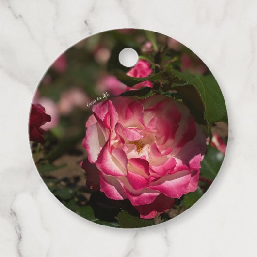 ピンク&ホワイトのバラ フェイバータグ (正面)