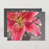 ピンク&ホワイトデイリリー – 日付を保存 案内ポストカード (正面/裏面)