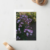 ピンク&ホワイトブッシュバラ ノートカード (正面/裏面インサイチュ)