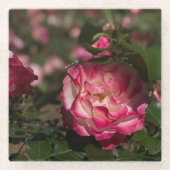 ピンク＆ホワイトローズ ガラスコースター (正面)