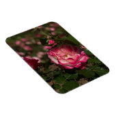 ピンク＆ホワイトローズ マグネット (右側)