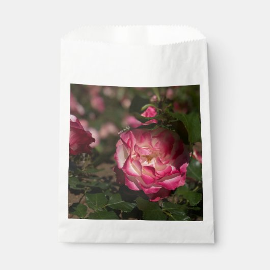 ピンク＆ホワイト ローズ フェイバーバッグ (正面)