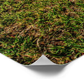 ピンク! ポスター (角)