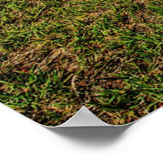 ピンク! ポスター (角)