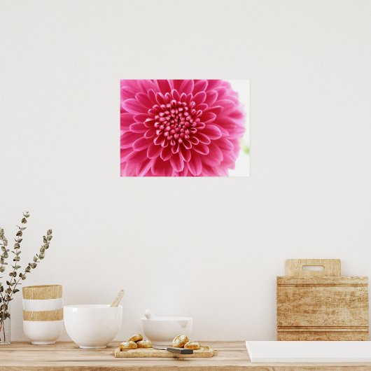 ピンク ポスター (キッチン)