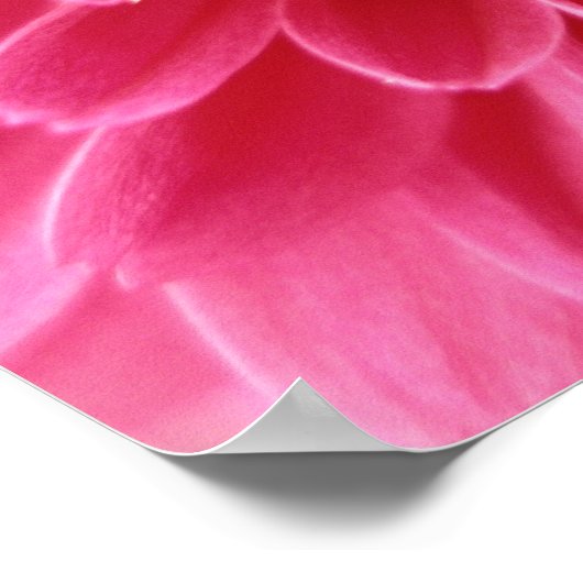 ピンク ポスター (角)