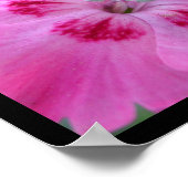 ピンク ポスター (角)